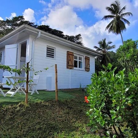 Ti-Hibiscus Bungalow T1 Clim-Wifi 30M2 2 Pers Grande Savane Dış mekan fotoğraf