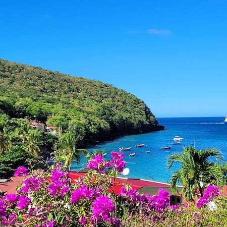 Ti-Hibiscus Bungalow T1 Clim-Wifi 30M2 2 Pers Grande Savane Dış mekan fotoğraf